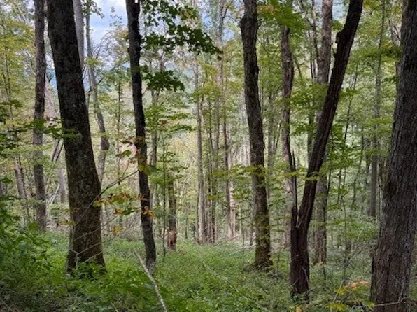 Lot 74a TBD Poplar Trail, Creston, NC 28615