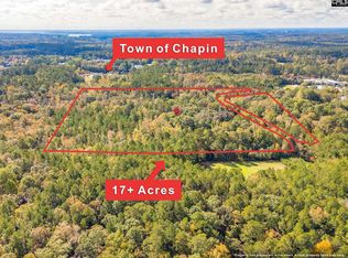 220 Courtland Rd, Chapin, SC 29036