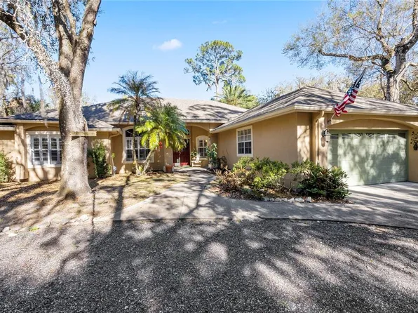 295 N Jungle Rd, Geneva, FL 32732