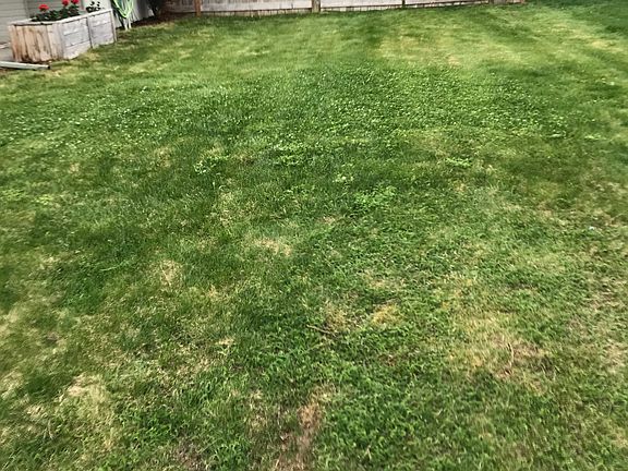 Large Gate To Back Yard