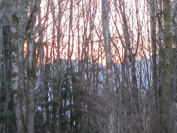 Seasonal peekaboo mountain view