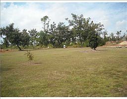 3rd image of 205 Lang Ave