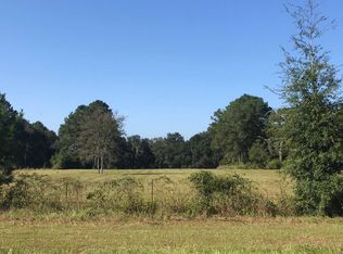133 NW Armadillo Ln, Lake City, FL 32055