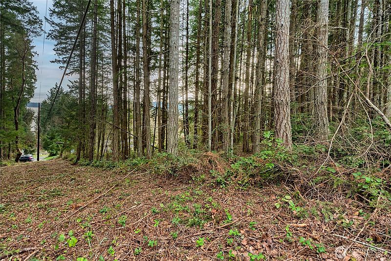2nd image of 3 Huckleberry Lane