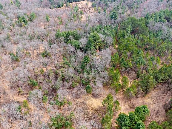 5th image of Lot 2 +/-43 Ac Dover Drive