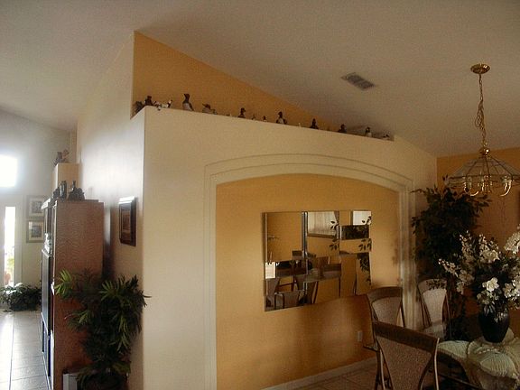 Dining room plant shelves