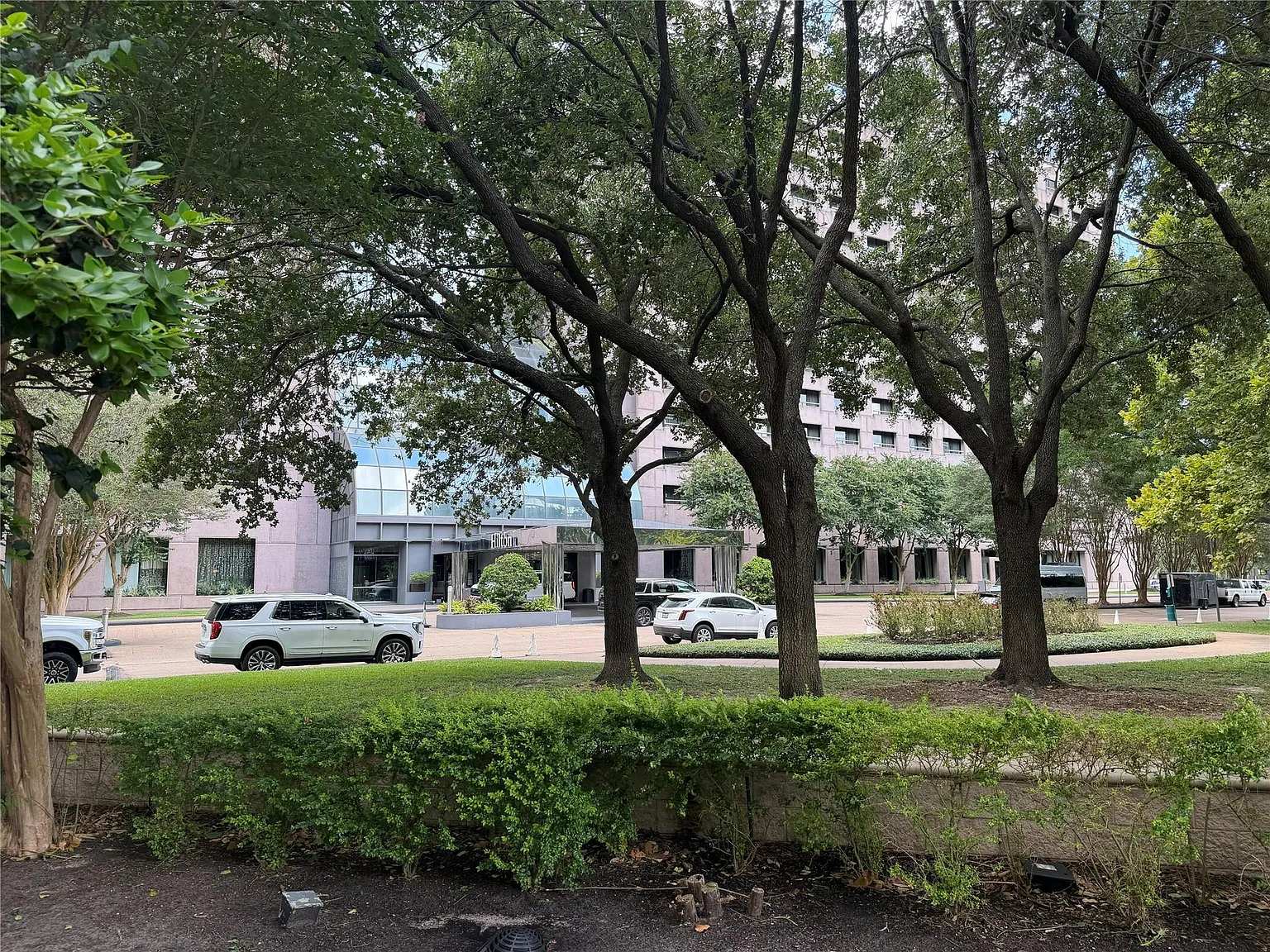 1 bed, 1.0 bath, 1031 sqft, $2,000 — Photo 2
