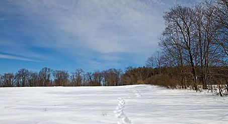 2nd image of 2 Pink Hill Rd
