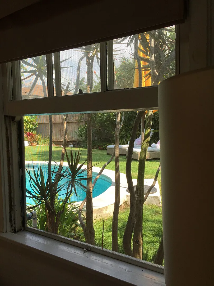 Sunny Santa Monica Oasis — Photo 2