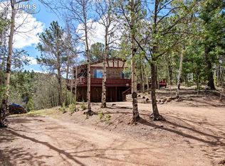 616 Timber Ridge Rd, Divide, CO 80814