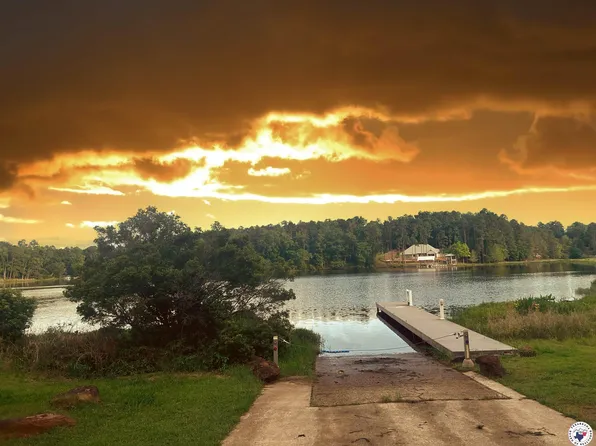 Tbd Cr 1527, Avinger, TX 75630