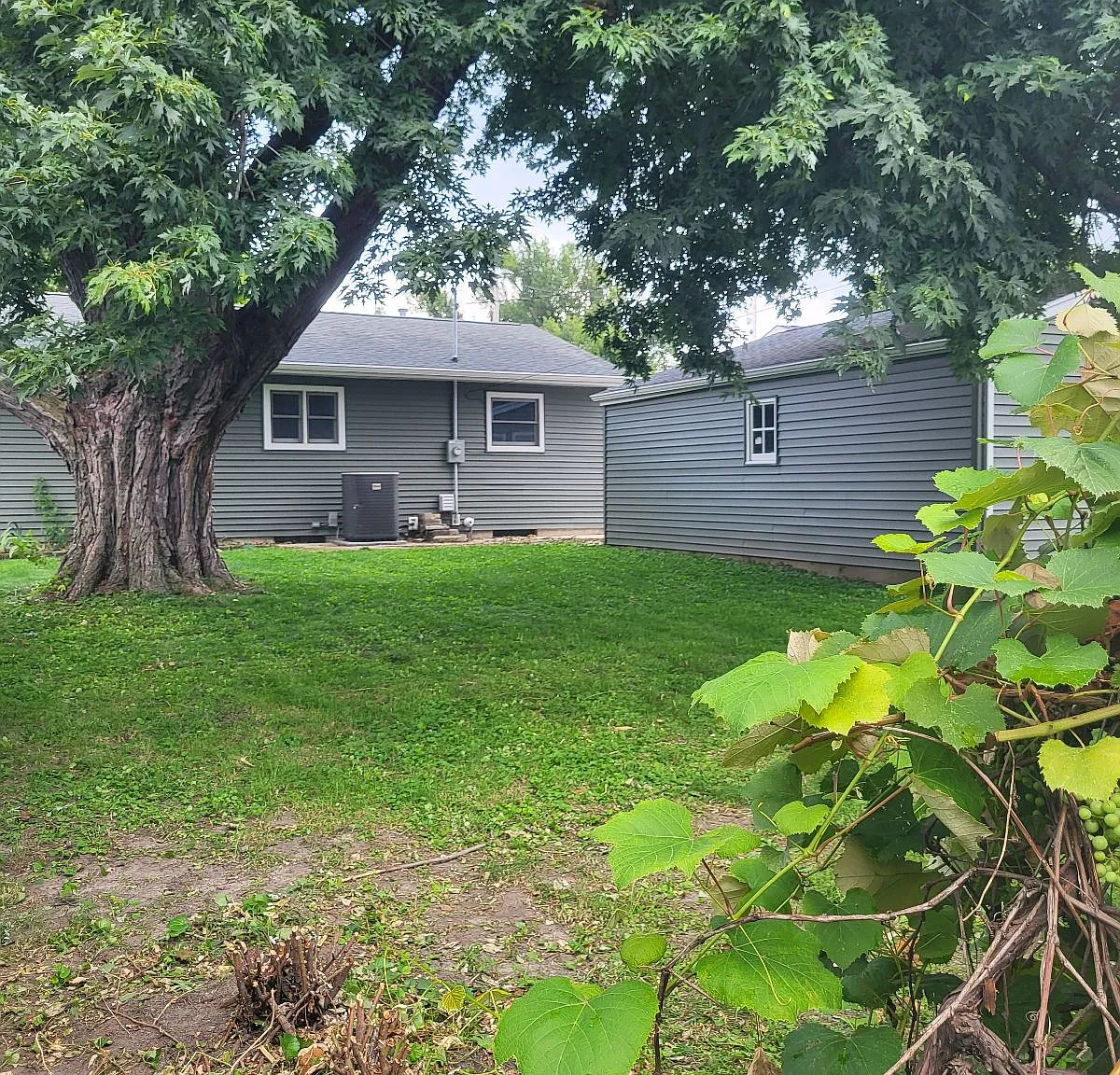 3 bed, 1.5 bath, 1371 sqft, $2,200 — Photo 2