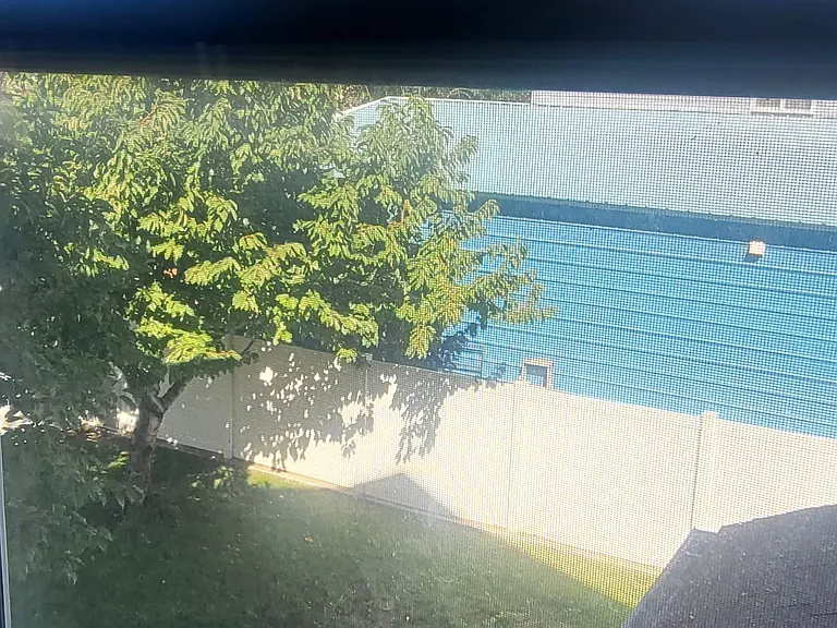 Backyard view from tree bedroom