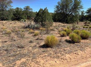 1X Chaparral Trl, Silver City, NM 88061