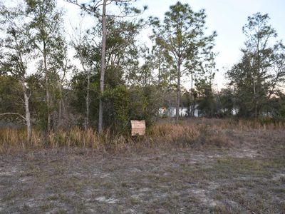 11631 NE 105th Ave, Archer, FL, 32618