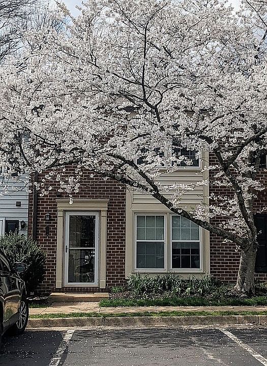 1st image of 5714 Independence Cir
