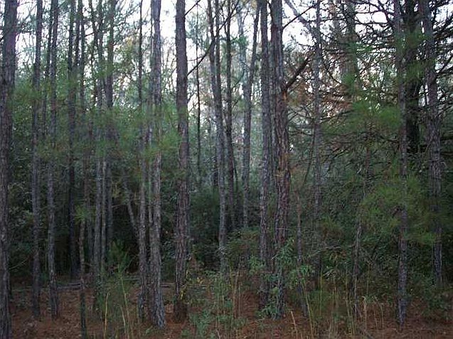 2nd image of 1439 Mills Rd