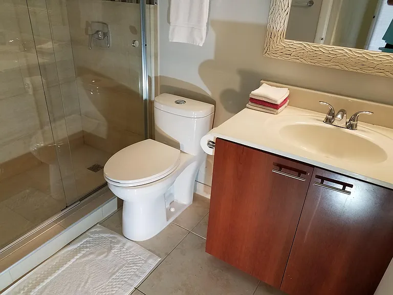 Bathroom and shower. Enjoy the glass-enclosed shower.