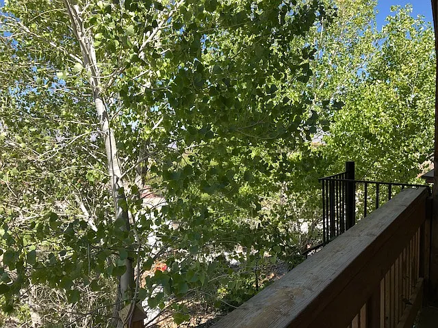 13975 Racel St #E — Photo 27