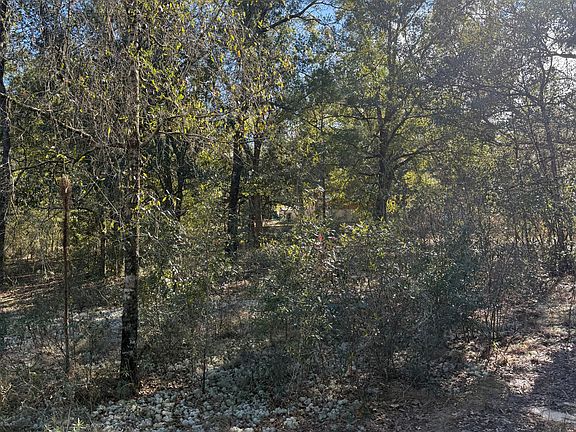 2nd image of LOT 21 Grassy Pond Rd