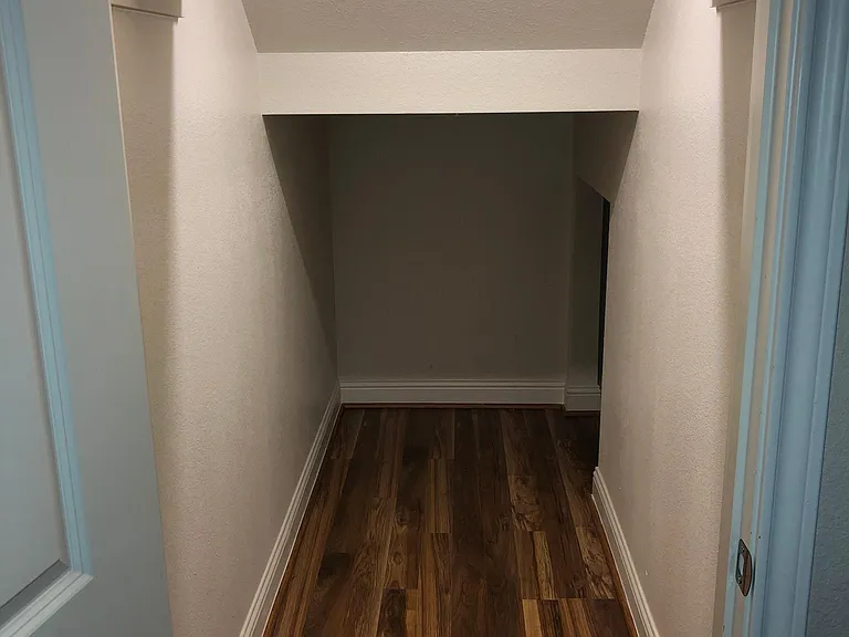 Under stairs storage closet.