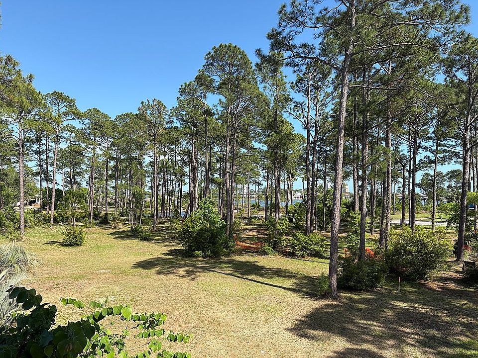 View from back porch 