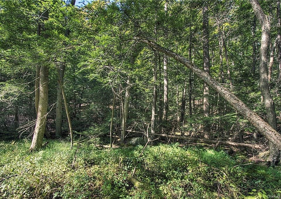 42 Buttermilk Falls Road, Warwick, NY 10990 MLS H6271171 Zillow