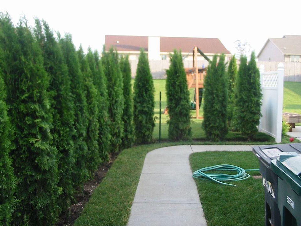 East side walkway