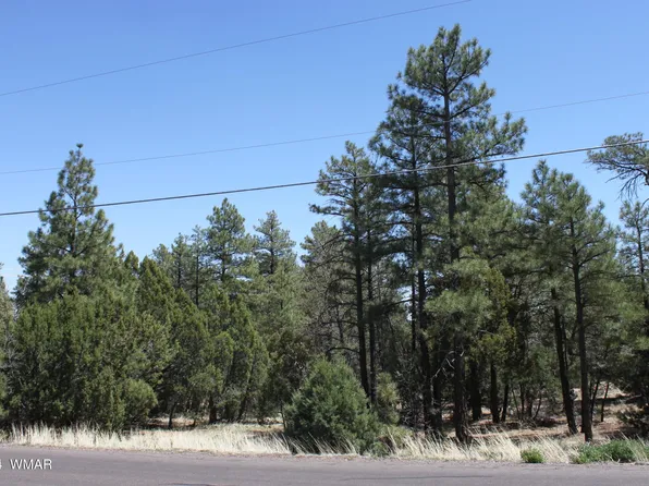 S 16th Ave, Show Low, AZ 85901