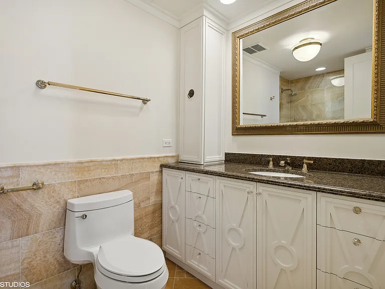 180 E Pearson St #5906 — Photo 14