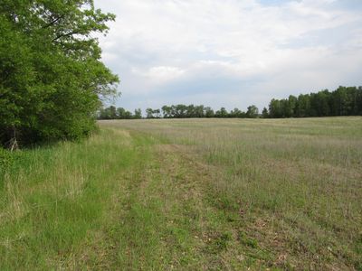 PARCEL 12 32nd Ave SW, Backus, MN, 56435