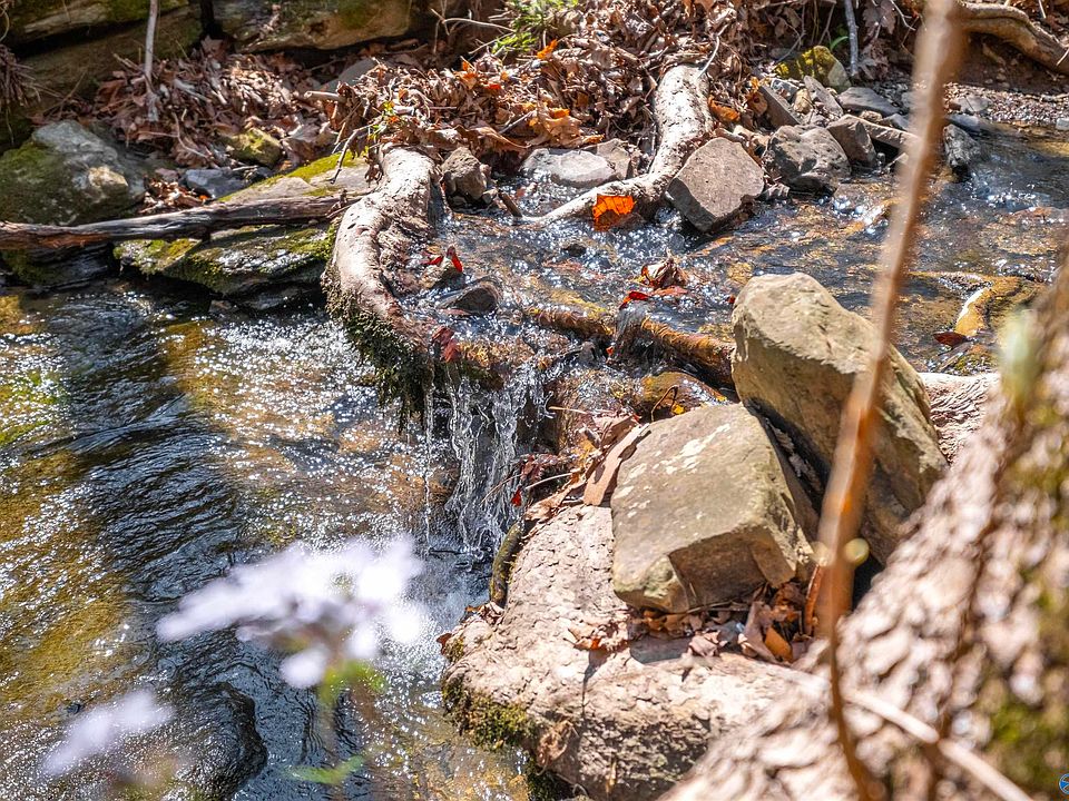 1st image of Duck Springs Rd