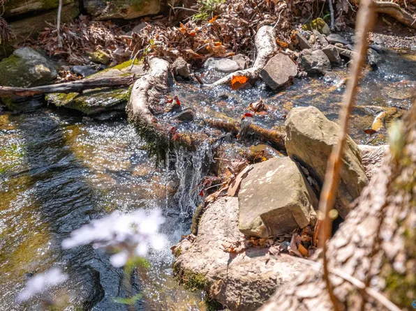 Duck Springs Rd, Attalla, AL 35954