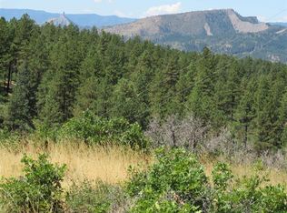 326 Echo Ln, Pagosa Springs, CO 81147