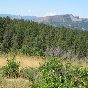 326 Echo Lane, Pagosa Springs, CO, 81147