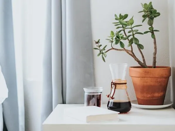 The Californian Apartments, 501 Charlton St #503E, Lufkin, TX 75901