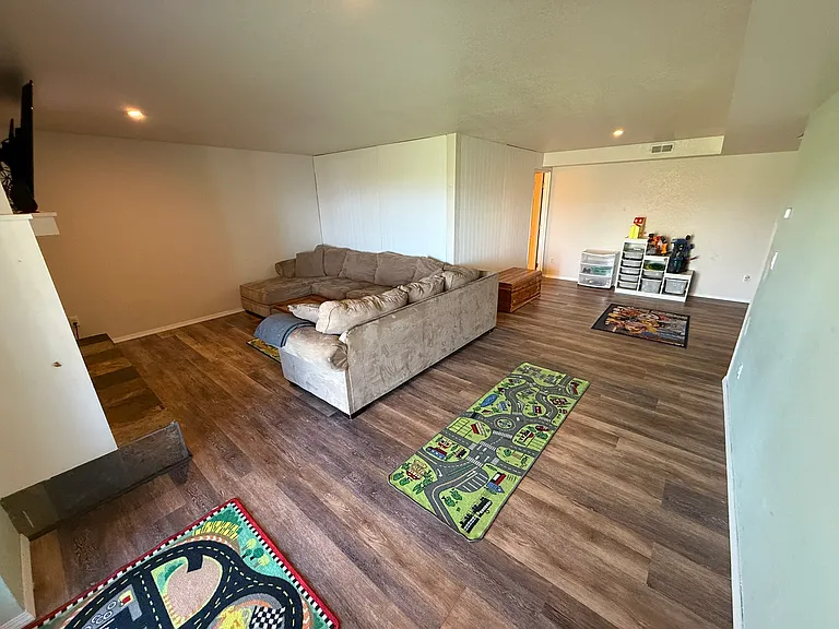 Basement Family Room