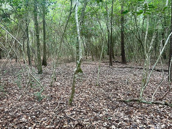 5th image of LOT 4 John Keely Rd