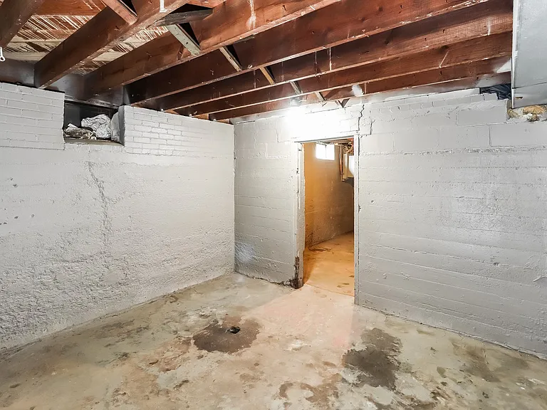 1424347_028_basement_12891421.jpg