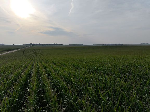 18633-DJI_20250830123323_0148_D