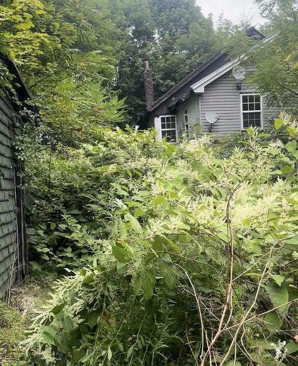 1st image of 11 Willow St
