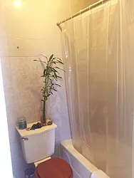 Rented by Engel and Volkers Brownstone Brooklyn