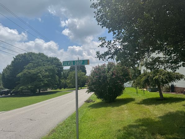 113 Silver Drop Ln