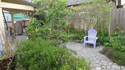 Back Yard Patio