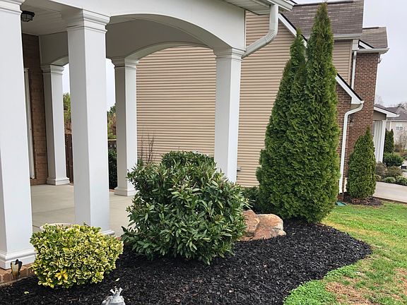 4th image of 2447 Ancient Oak Ln