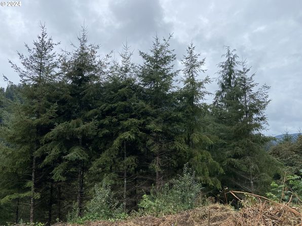 126 Highway, Florence, OR 97439