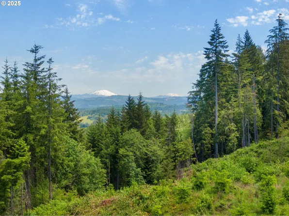 Meissner Rd, Deer Island, OR 97054