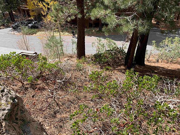 3rd image of 190 Grindelwald Rd