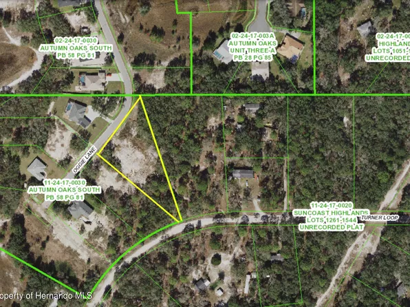 17942 Oggie Ln, Hudson, FL 34667
