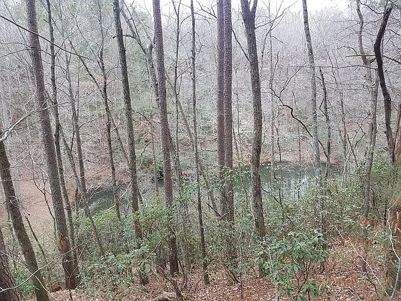 View of pond, first site